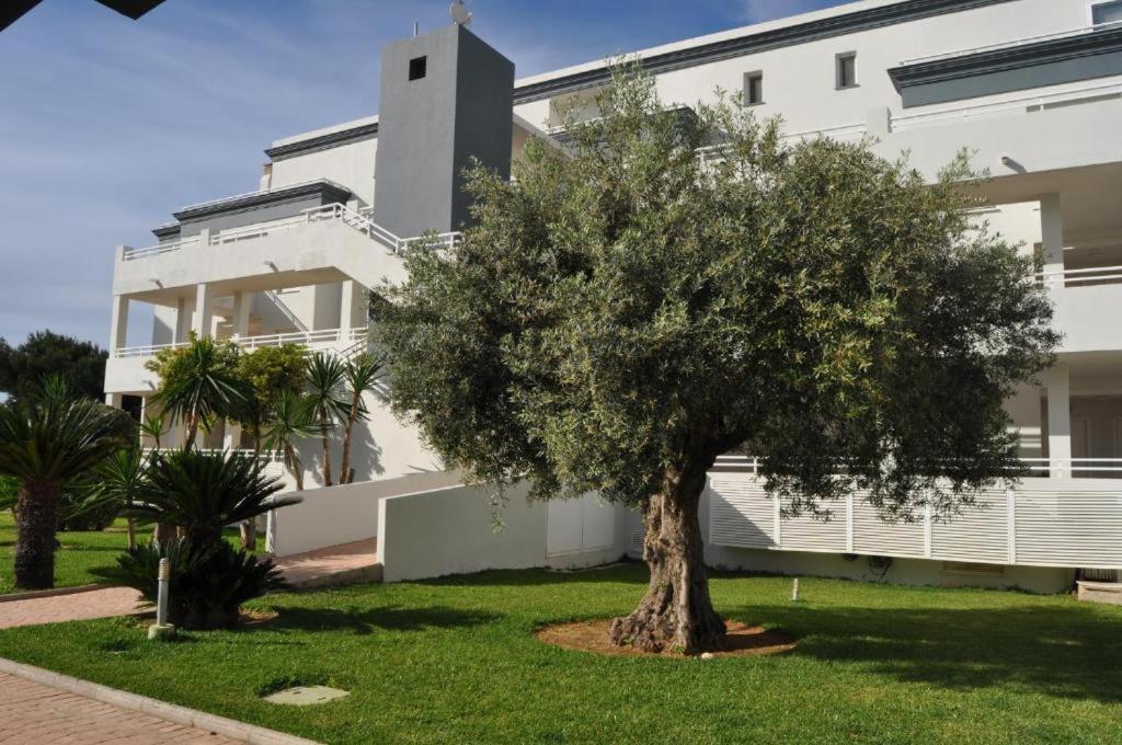 Oasis Hoyo 12 - Oliva Nova Playa Met&Golf Lejlighed Eksteriør billede