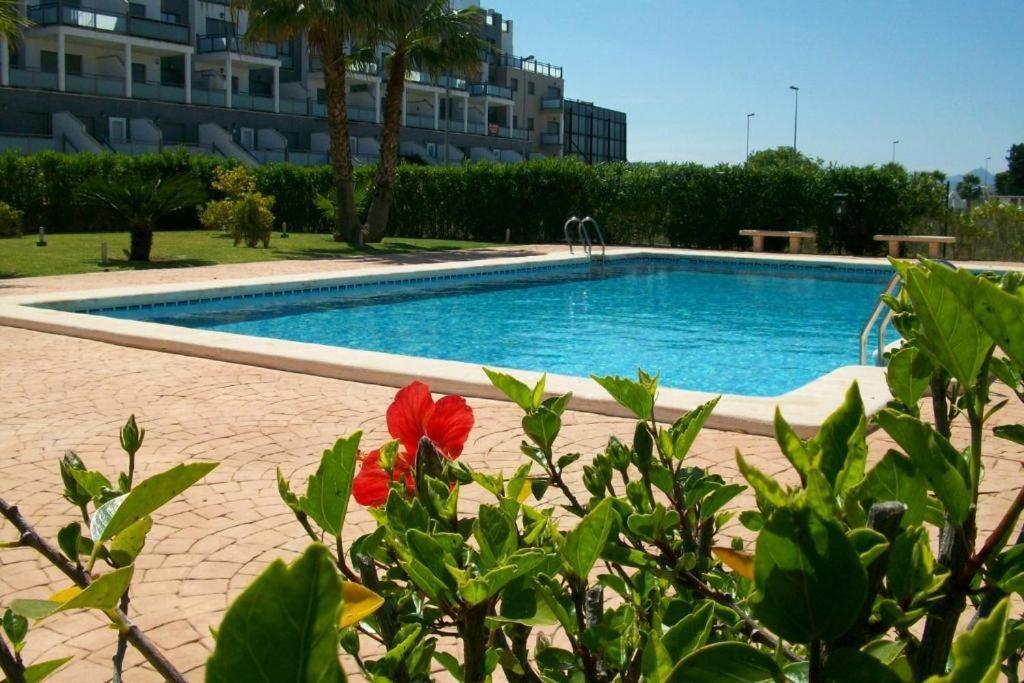 Oasis Hoyo 12 - Oliva Nova Playa Met&Golf Lejlighed Eksteriør billede